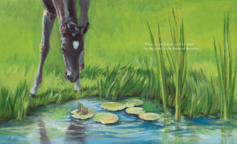 Black Beauty's Early Days in the Meadow Picture Book