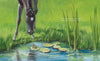 Image of Black Beauty's Early Days in the Meadow Picture Book