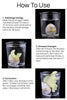 Image of Mini Dinosaur Water Grow & Hatch Egg - 60 Pcs