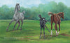 Image of Black Beauty's Early Days in the Meadow Picture Book