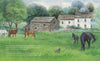 Image of Black Beauty's Early Days in the Meadow Picture Book