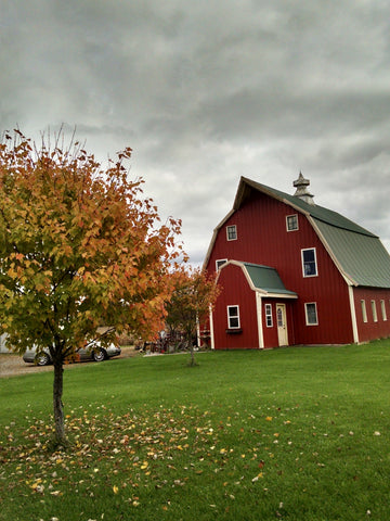 Two Piece Metal Pumpkin Floral Crafting Frame 18 x 13 x 5 inches with 1 pkg. of Tinsel Pipe Cleaners